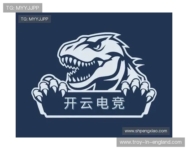 开云体育VIP专属福利详解让你在激烈的电竞赛事中脱颖而出