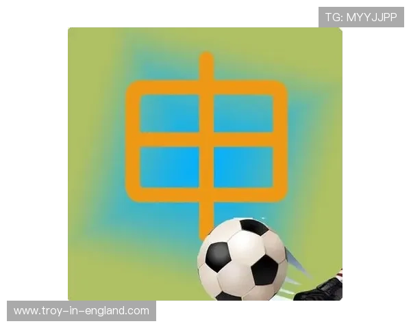 申博体育app全面升级优化，提供更安全便捷的投注环境赢得广大用户青睐