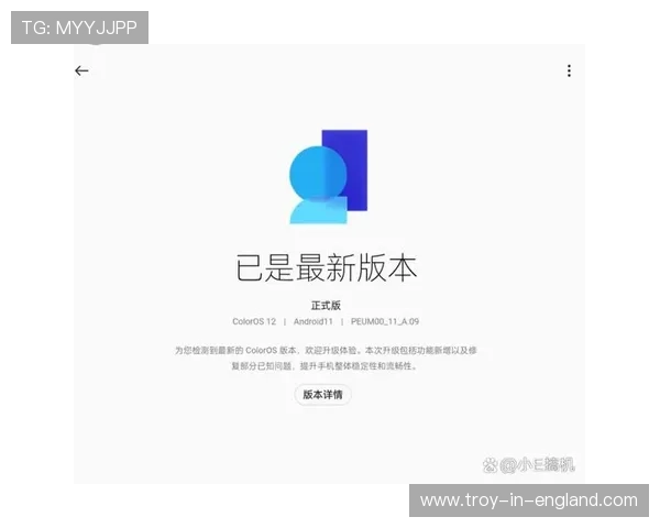 B体育旗舰厅下载官网优化界面设计，提升用户体验的详细介绍与操作指南