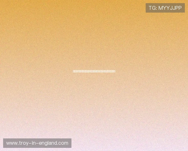 海星体育下载入口官网最新版本下载安装指南与详细操作流程